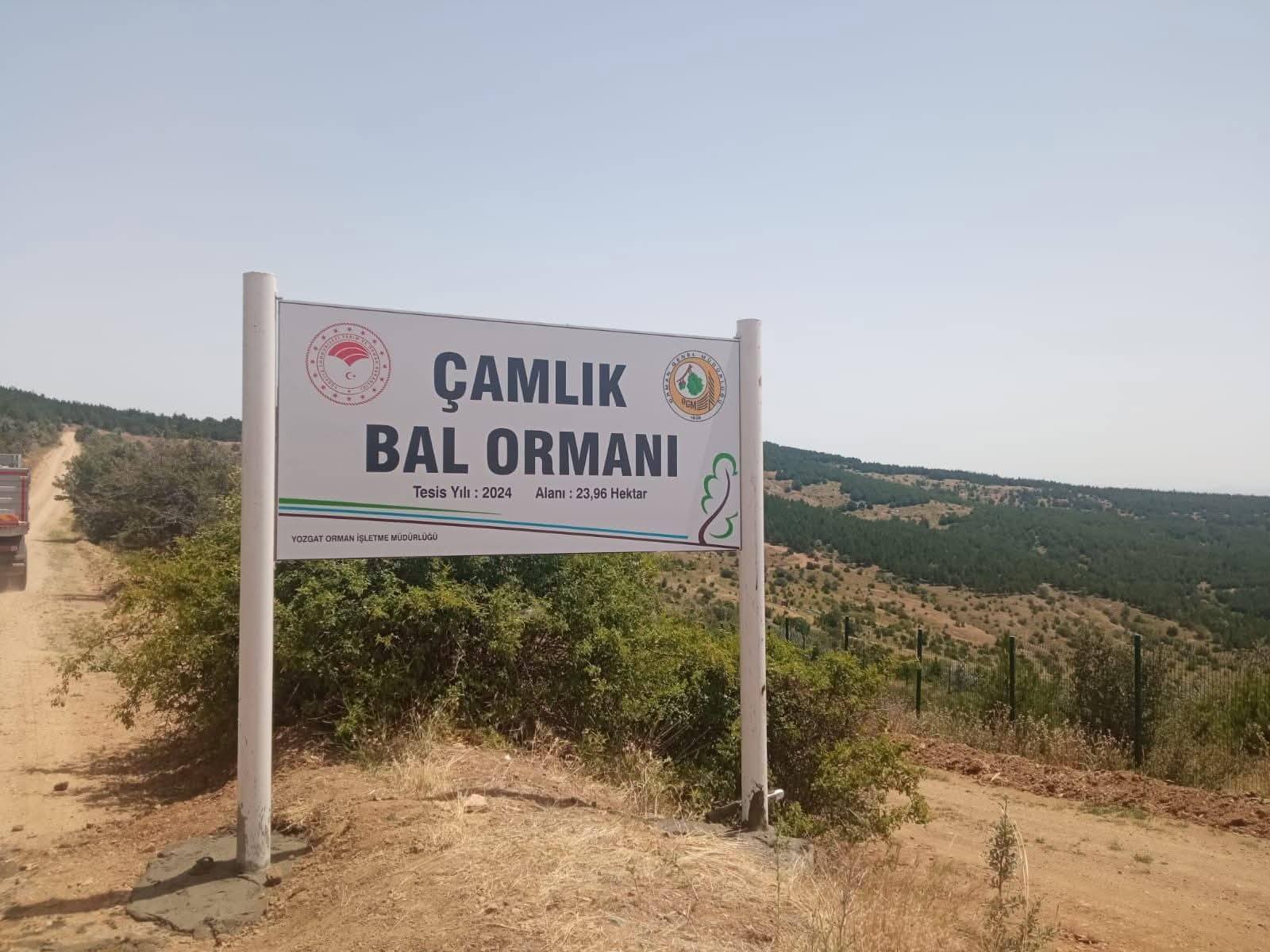 BAL ORMANI SAYISI 17 OLDU