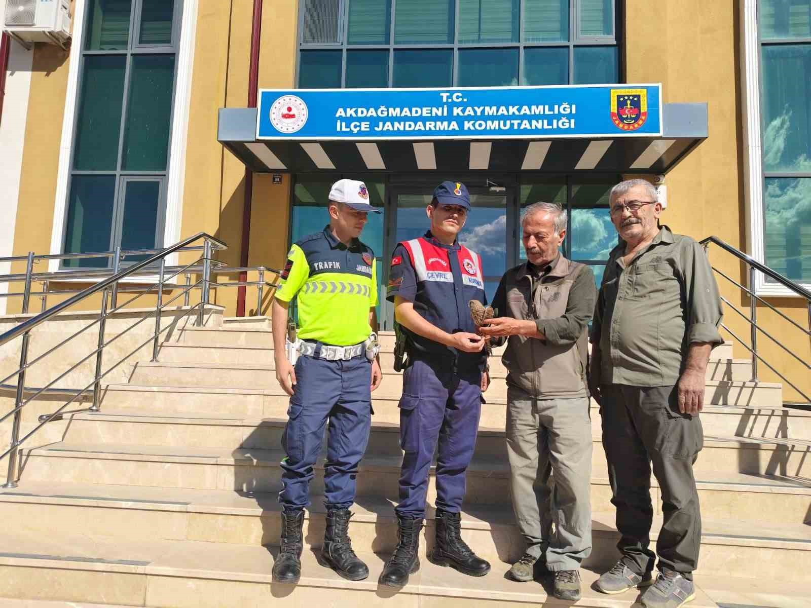AKDAĞMADENİ’NDE YARALI ÇAKIR KUŞU BULUNDU