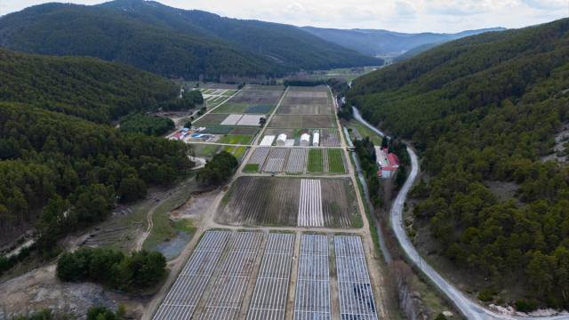YILDA 1 MİLYON FİDAN TOPRAKLA BULUŞUYOR!